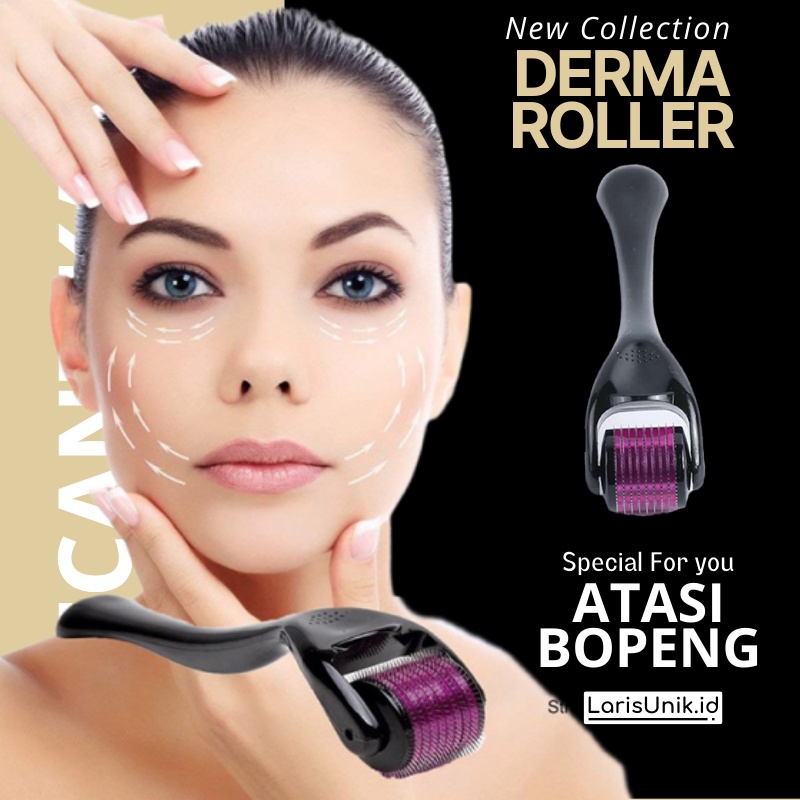 Alat Kecantikan Perawatan Kulit Wajah Dermaroller Alat Roller Facial Wajah Kecantikan Kulit