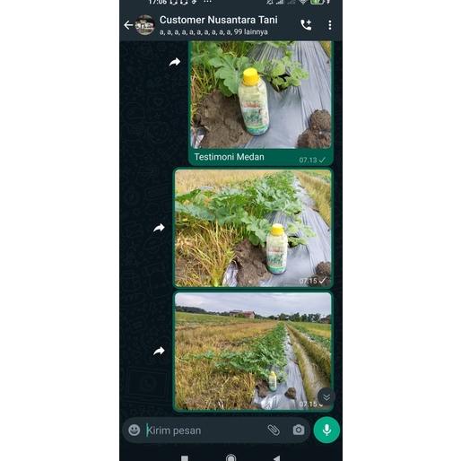 Limited - IREX 500 ml - Irex Penguat Tanaman / Obat Bawang Merah untuk Daun / Obat Moler Bawang Mera