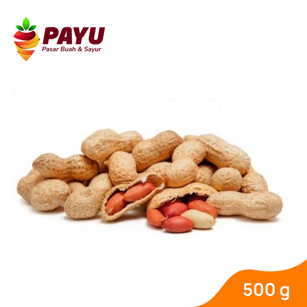 

Kacang Tanah Kulit Mentah [500 g]