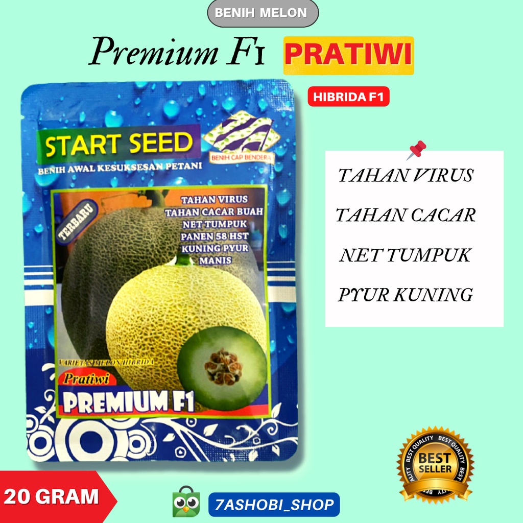 Benih Melon Pratiwi F1 Sangat Manis Buah Premium Melon Fruit Tahan Virus Siap Panen 58HST Asli Pabri