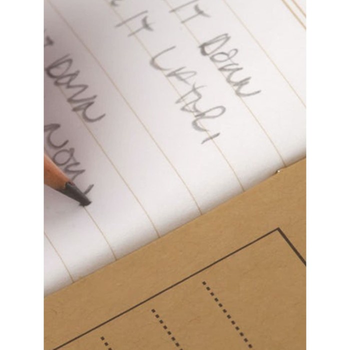 

Notebook Field Notes Left Handed 3 Pack Ruled Paper Stationeries