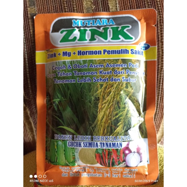 Mutiara zink + pemulih sakit 100gram