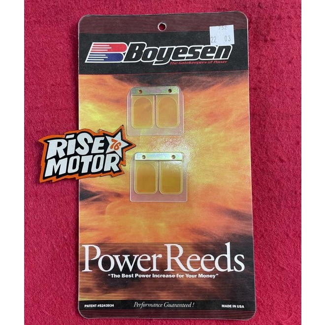 Lidah Valve Membran Boyesen Rxz