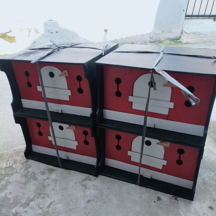 Kandang Burung Kandang Gupon Merpati