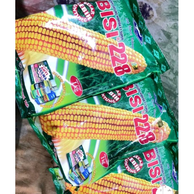 Benih Jagung Bisi 228 1 Kg