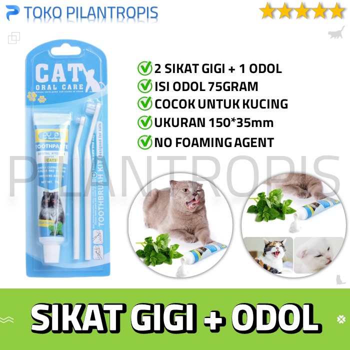 SIKAT GIGI KUCING DAN ODOL PASTA GIGI KUCING SATU SET CAT DENTAL GEL TOOTHBRUSH