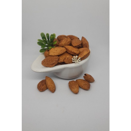 

Almond Cangkang