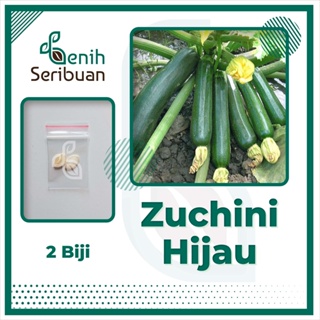 2 Benih Zucchini Hijau Jewel F1 Hibrida Bibit Sayuran Timun Jepang Zuchini Tanaman Sayur Berkualitas