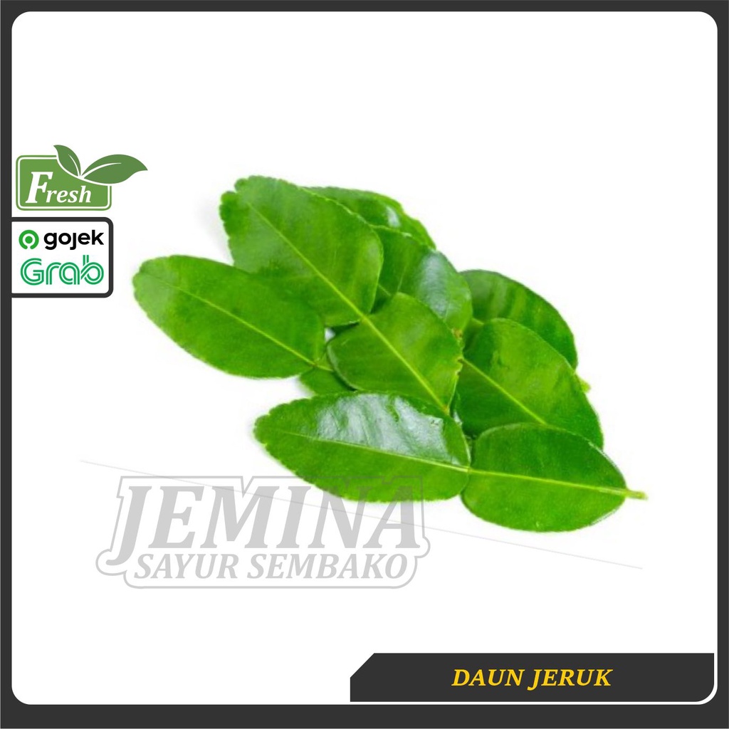 

Daun Jeruk - Sayur Jogja