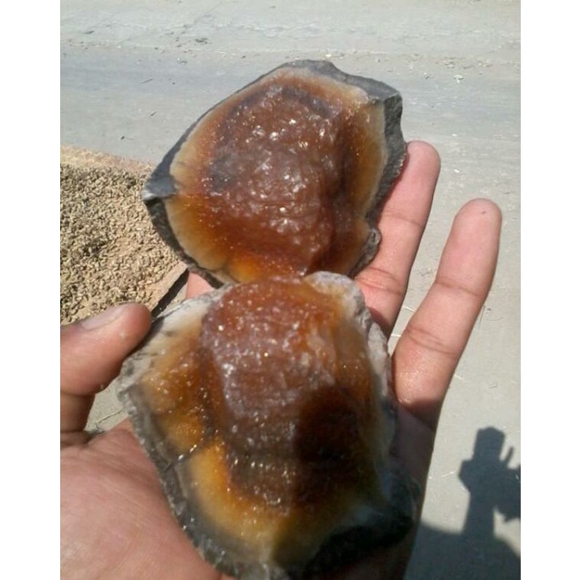 SESUAI FOTO BAHAN AKIK ROUGH BONGKAHAN SUPERR FOSIL MANI GAJAH (natural calcite)