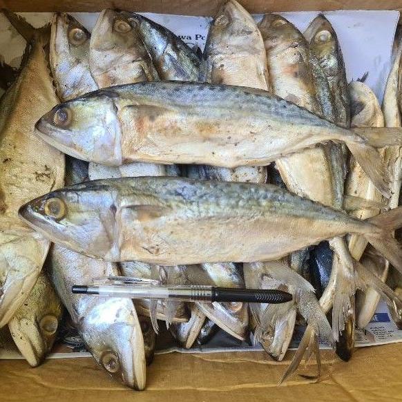 

Ready stock Ikan Asin Peda 250gr 49