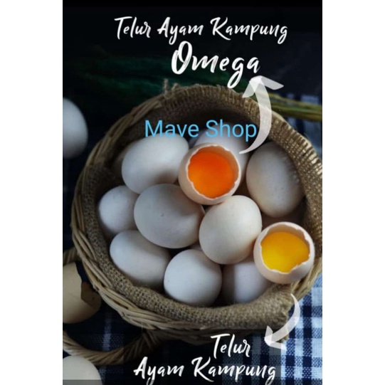 

Telur Ayam Kampung