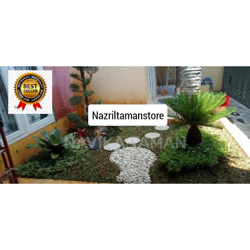 Taman minimalis Depok / menerima jasa pasang taman / Menerima Dekorasi taman