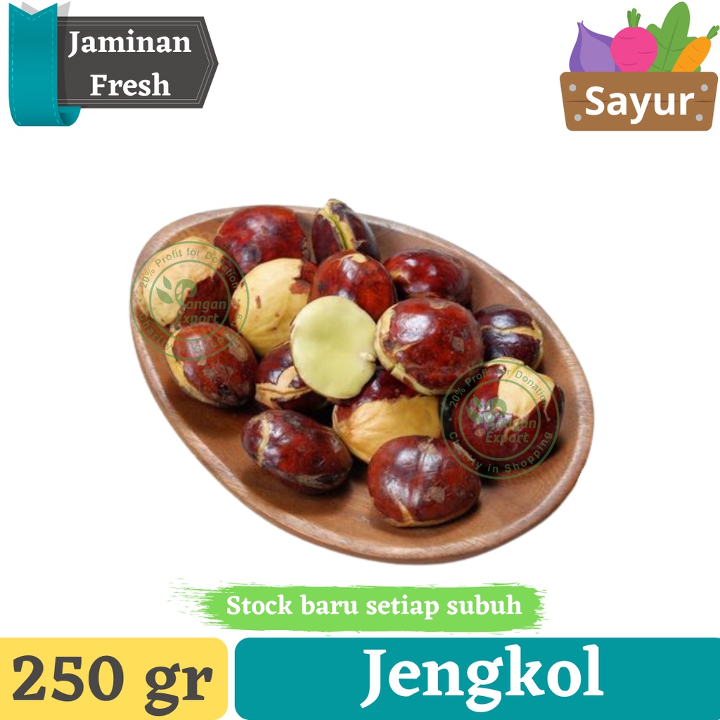 

Jengkol Tua Fresh Super | Sayur Bumbu Buah