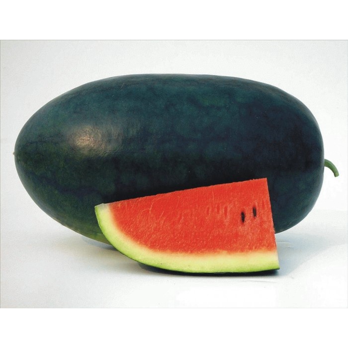 Benih Biji  SEMANGKA LONJONG-SEMANGKA MERAH