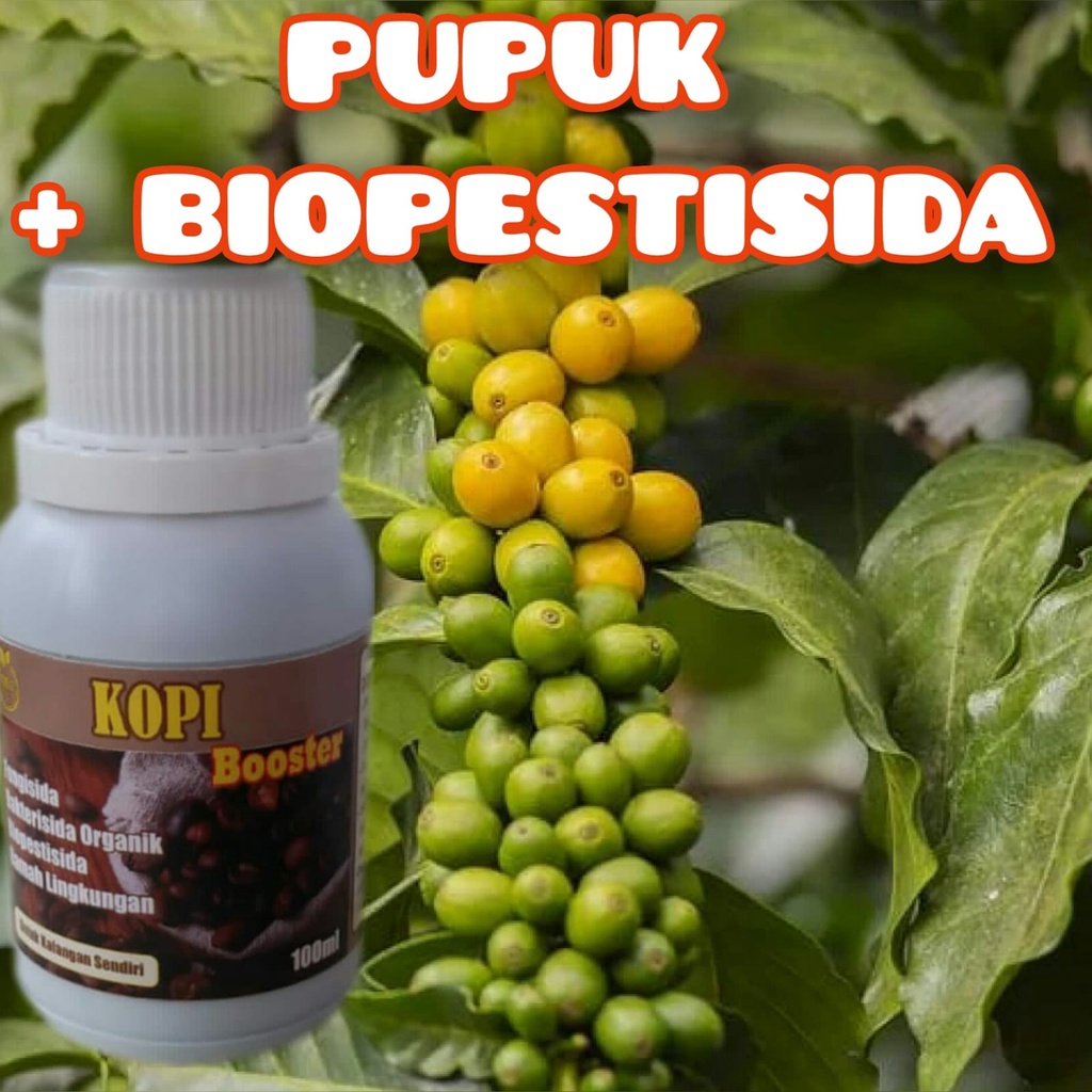 Pupuk Pelebat Buah Kopi Pupuk Organik Cair 100ml Pupuk Pelebat Buah Kopi Pupuk Booster Buah Kopi Pup