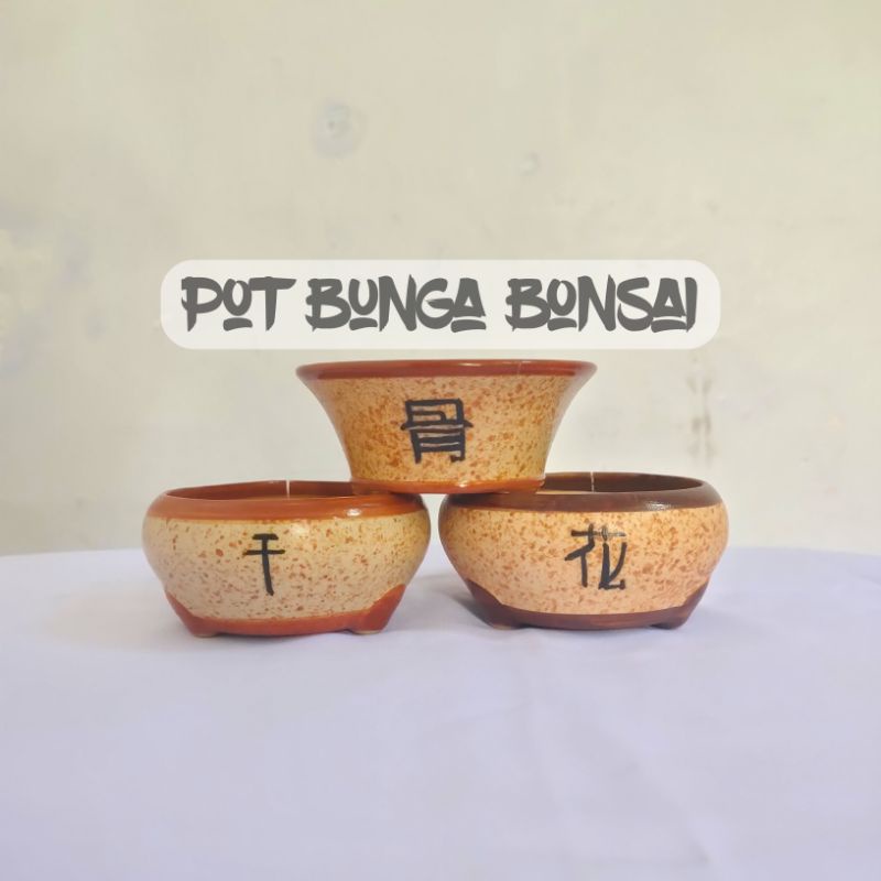 Pot bunga bonsai / pot bunga minimalis / pot bunga