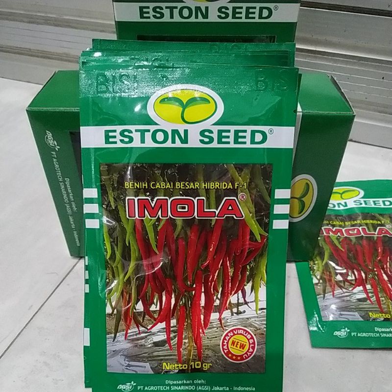 benih cabai besar hibrida f1 IMOLA NEW (10grm)
