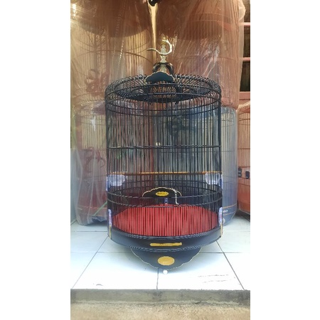 SANGKAR MURAI BNR DOFF REBORN  HALUSAN