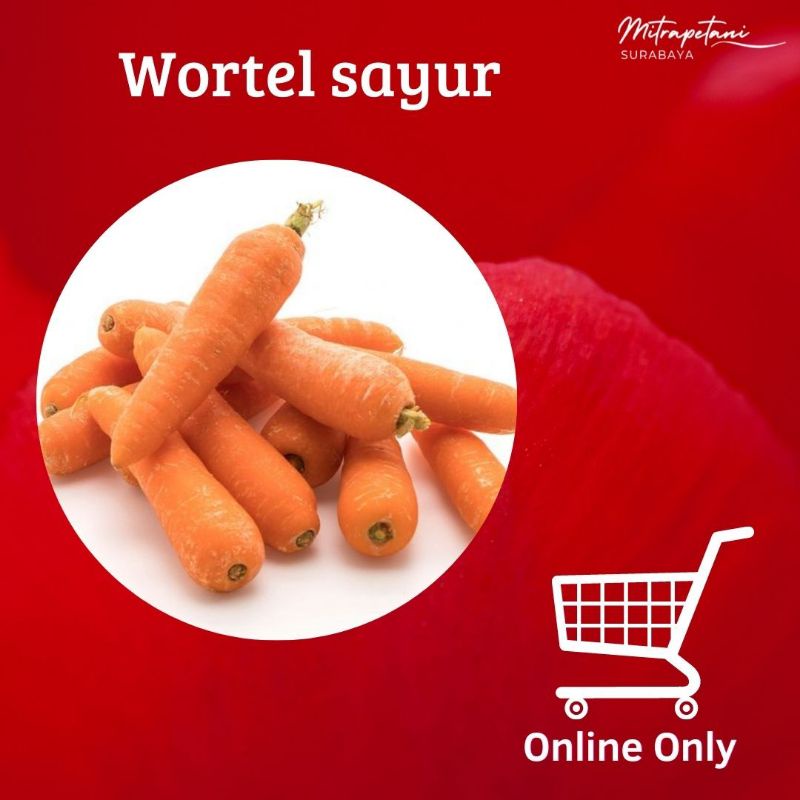 

wortel sayur, sayur wortel segar, wortel