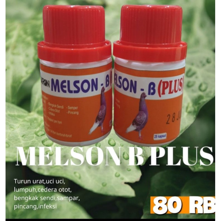 MELSON B PLUS BARON/ MELSON B PLUS