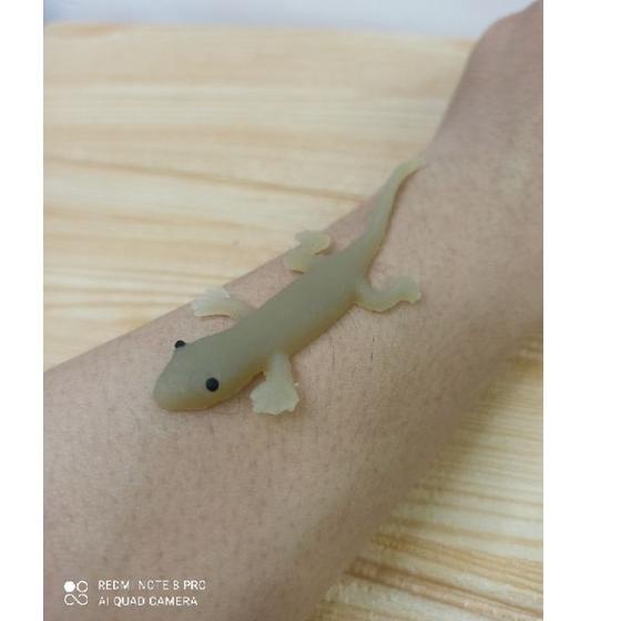 Murah Pilihan Mainan cicak karet mirip asli