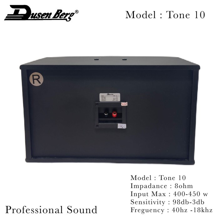 speaker karaoke dusenberg 10inch tone 10 orginal / hrga 2unit