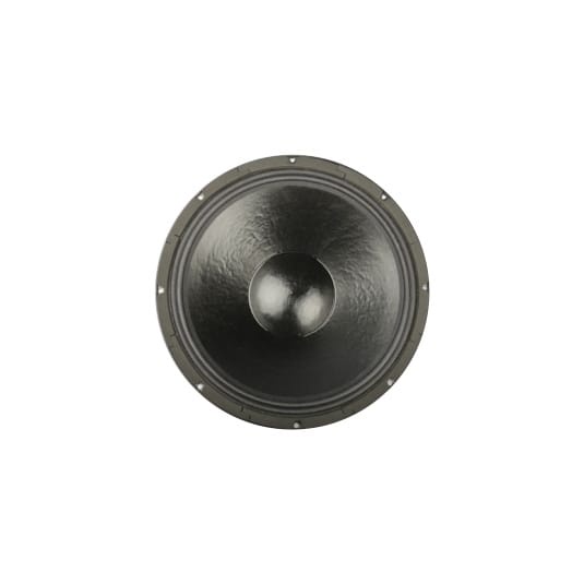 Speaker Acr Fabulous 18" Inch 113182-SW FAB Spiker acr Fab 113182 18inch