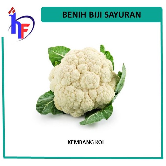 Benih Biji Kembang Kol ( Bunga Kol )
