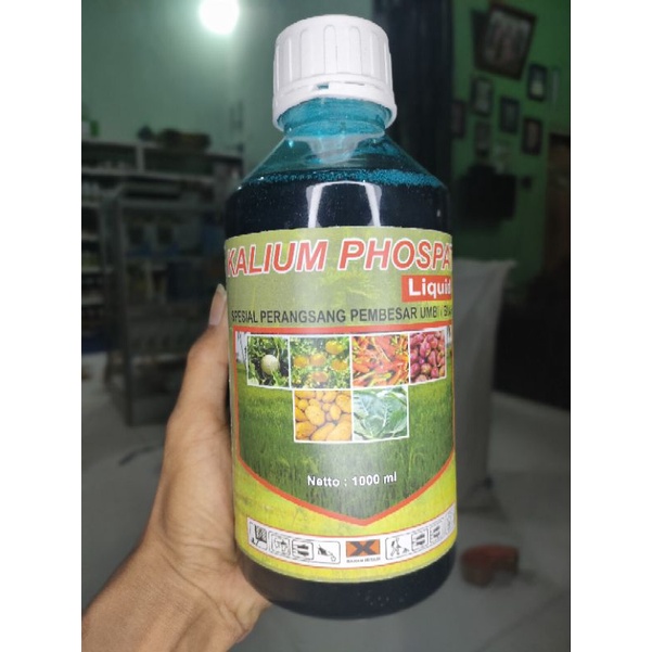 Kalium Phospat 1ltr Pembesar Buah Dan Umbi Lebih Hemat