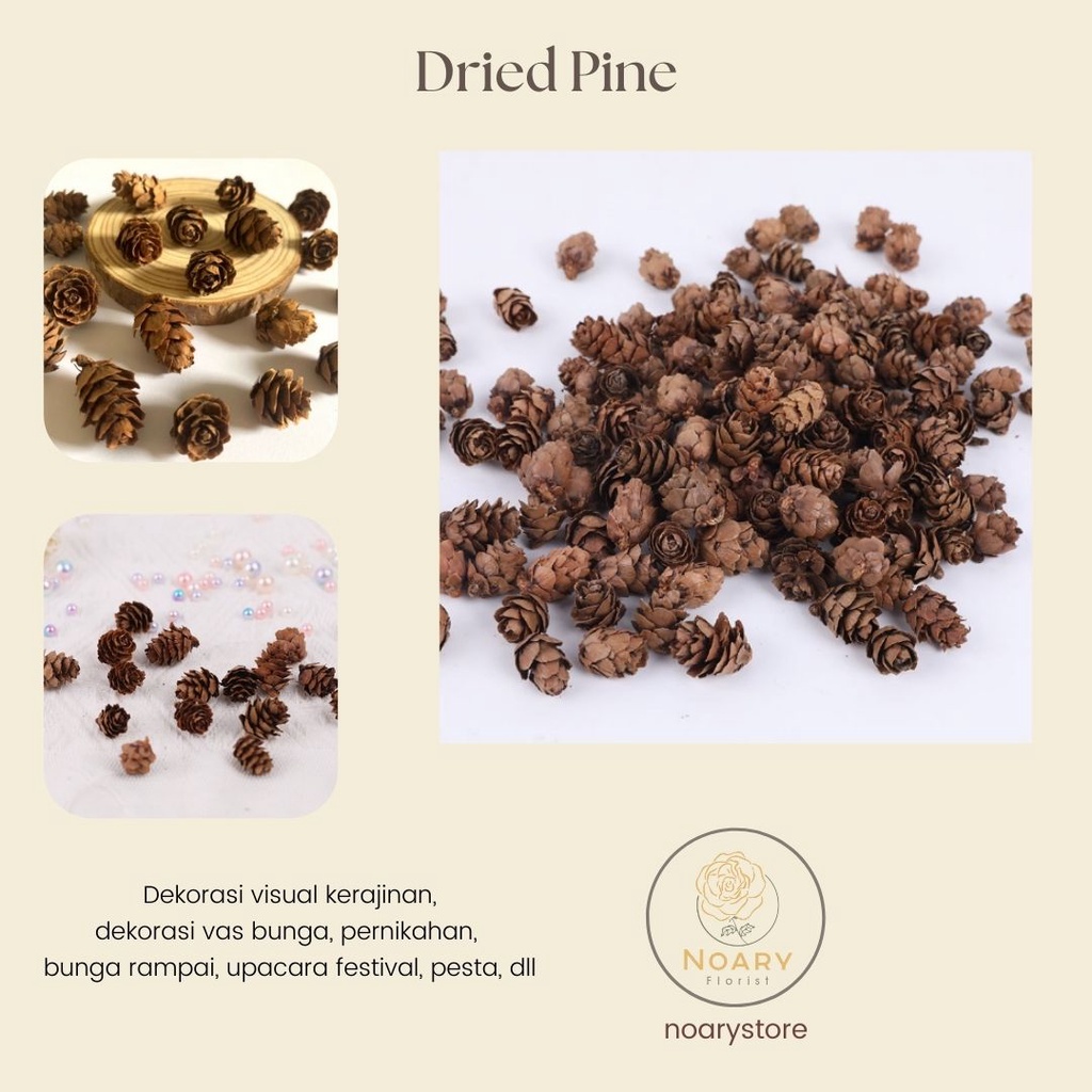 DRIED PINE