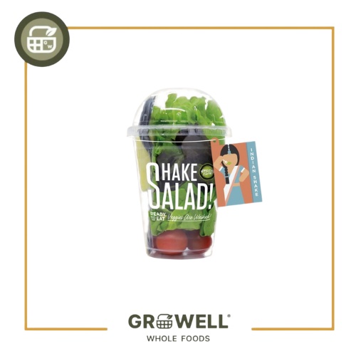 

AF INDIAN SHAKE SALAD 85 G