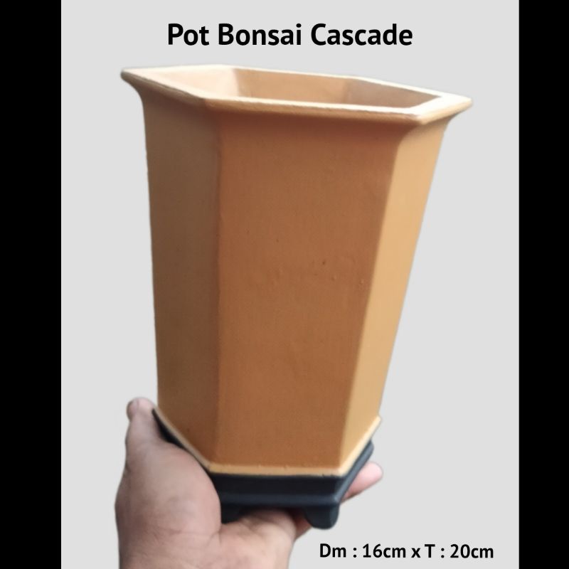 Pot Bonsai Cascade