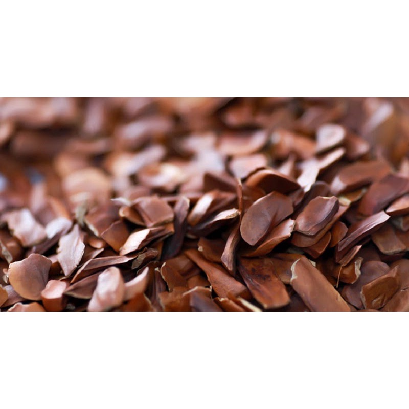 

Biji Mahoni (100 gram) / Mahogany seeds / Sky Fruit Seed / Xiang Tian Guo / Swietenia macrophylla