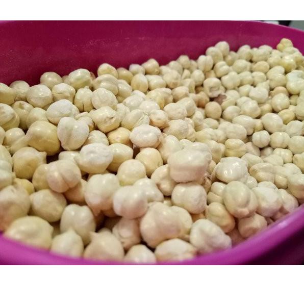 

codey5Y9k Kacang arab Super ukuran 1 kg