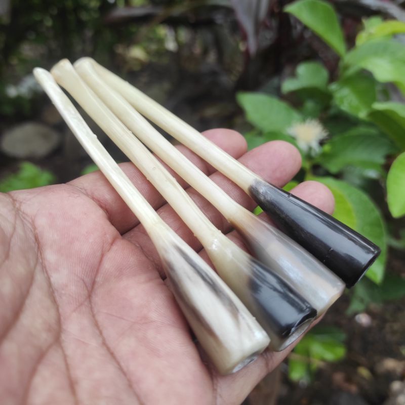 Once Pipa Roko Tulang Kalong Medium