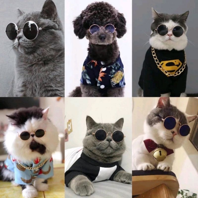 Kaca Mata Kucing Anjing KacaMata Fashion Hewan Peliharaan