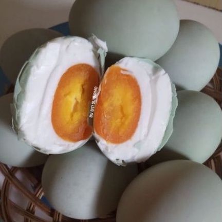

TELOR ASIN TELOR BEBEK MATANG