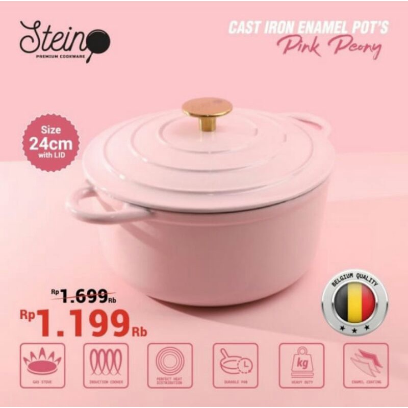 STEINCOOKWARE Stein Cast iron enamel pot Caserole 24 cm