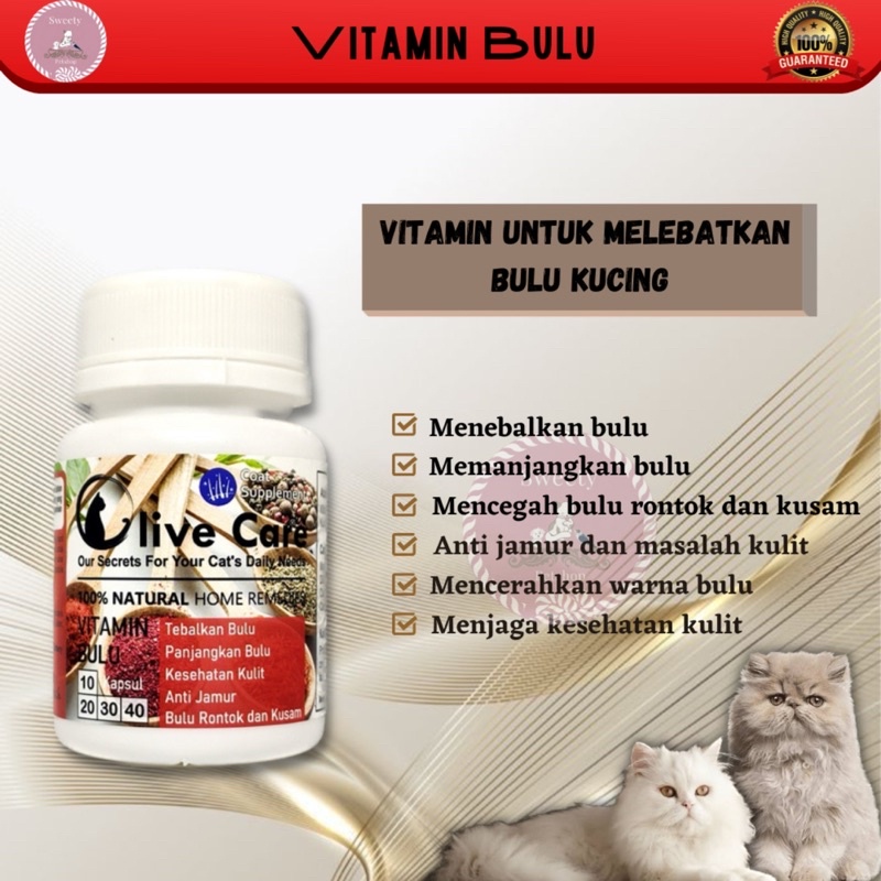 Vitamin Kucing Olive Care [ECER, 1 Kapsul] | Olivecare SweetyPetshop