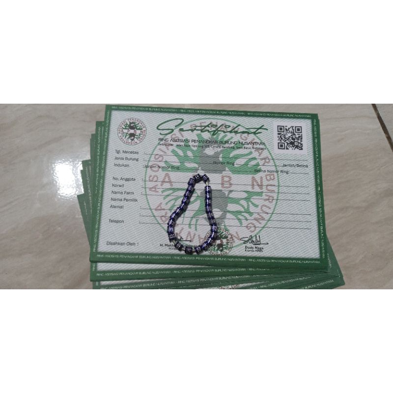 RING APBN KACER + SERTIFIKAT