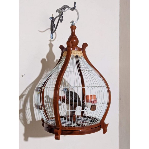 sangkar perkutut sangkar kutut model bawang kayu jati ruji fiber