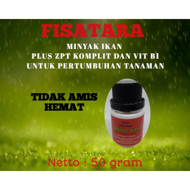 PUPUK MINYAK IKAN FISH EMULSION FISATARA PLUS Hormon ZPT Tanaman Bunga Hias Anggrek Dan Buah