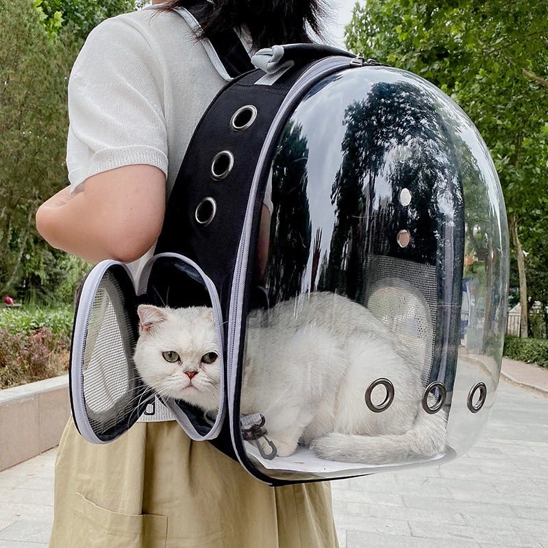 Tas Astronot Kucing Anjing Tas Transparan Pet Cargo Tas Anjing Kucing Murah Tas Ransel Hewan atau Travel Bag Nyaman