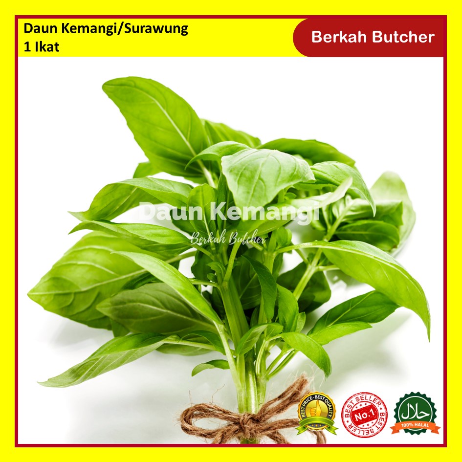 Daun Kemangi Segar / Surawung - Berkah Butcher