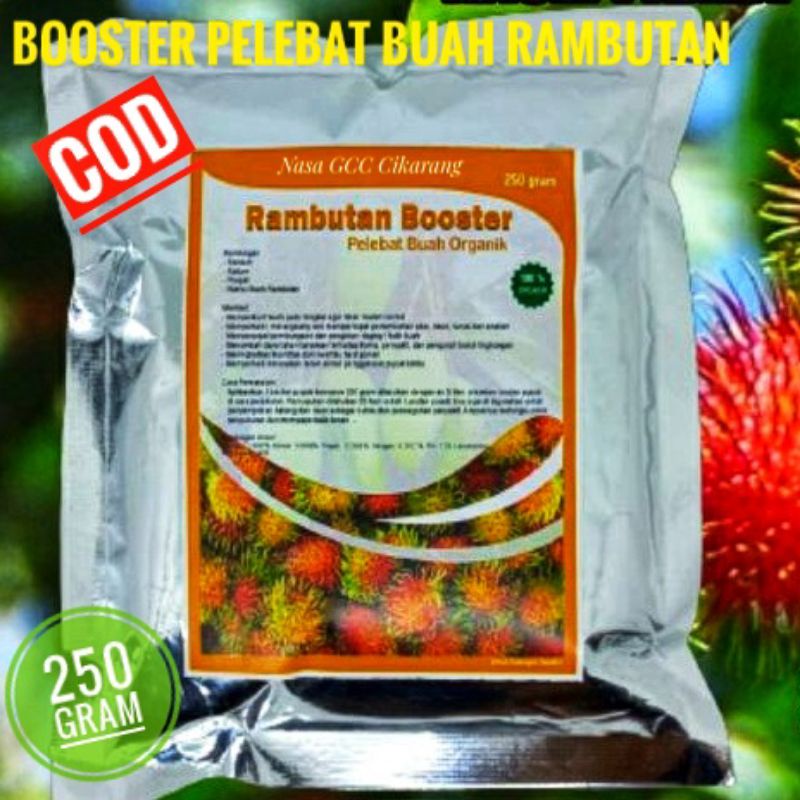 PUPUK BOOSTER PELEBAT BUAH RAMBUTAN