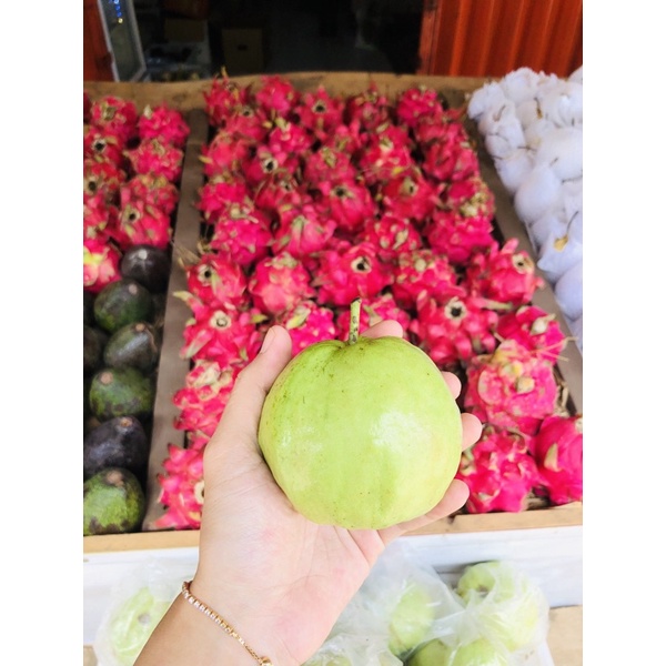 

Jambu kristal