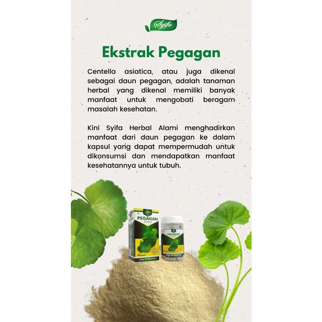 Kapsul Ekstrak Pegagan Obat Suplemen Vitamin Nutrisi Herbal Penambah Peningkat Kecerdasan Konsentrasi Daya Ingat Otak Penurun Panas Demam Anak Dewasa Cerdas Pintar