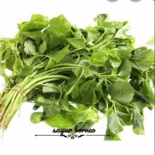 

Sayur Segar Bayam 1 Ikat Besar