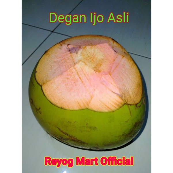 

DEGAN IJO ASLI